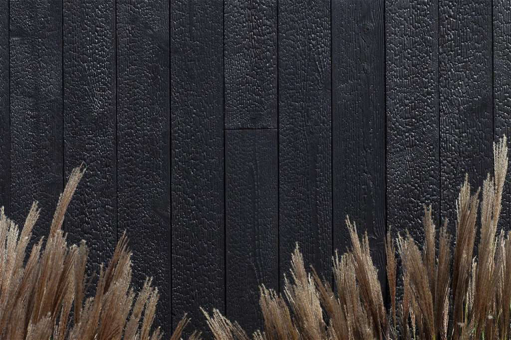 пример обугленного дерева пример обугленного дерева